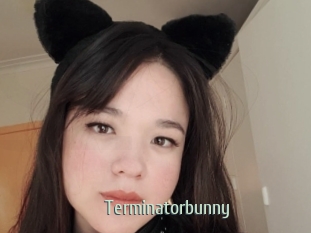 Terminatorbunny