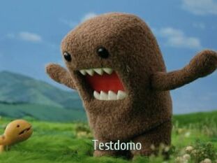Testdomo