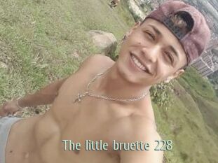 The_little_bruette_228