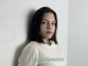 theabridgewater Sexcam Zone