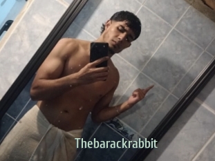 Thebarackrabbit