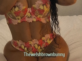 Thewelshbrownbunny
