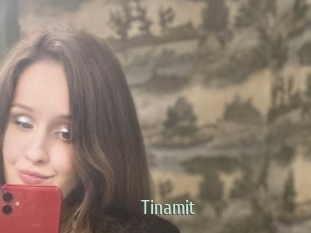 Tinamit