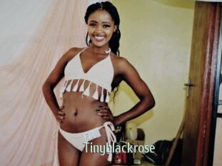 Tinyblackrose