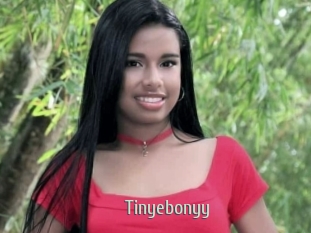 Tinyebonyy