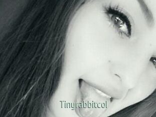Tinyrabbitcol