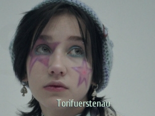 Torifuerstenau