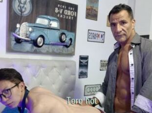 Toro_hot