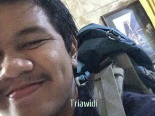 Triawidi