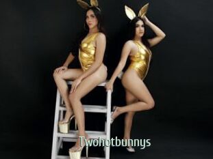 Twohotbunnys