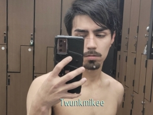 Twunkmikee