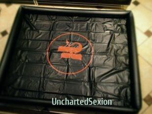 UnchartedSexion