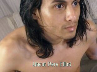 Uncut_Perv_Elliot