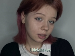 Udelahakes