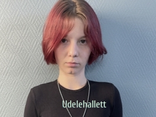 Udelehallett