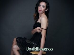 Urwildflowerxxx