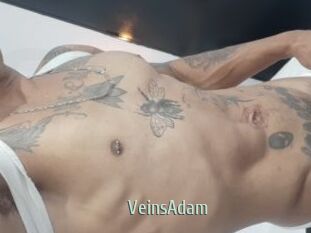VeinsAdam Sexcam Zone