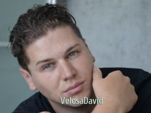 VelosaDavid