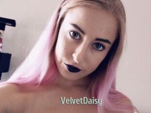 VelvetDaisy