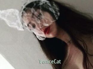 VeniceCat