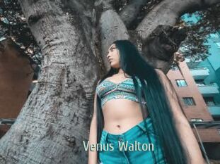 Venus_Walton