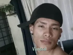 vandaal Sexcam Zone