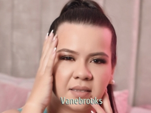Vanebrooks