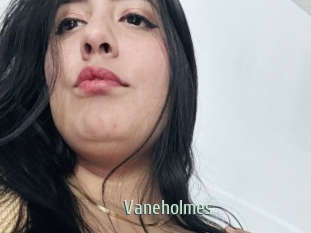 Vaneholmes