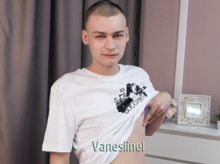 Vaneslinel