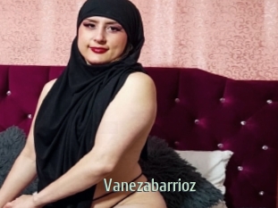 Vanezabarrioz