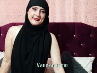 Vanezacosmo