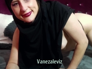 Vanezaleviz