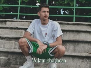 Velamikbarbosa
