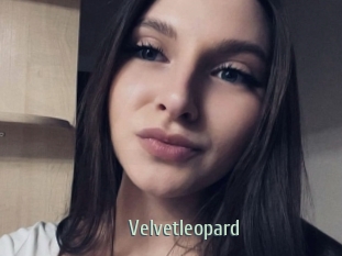 Velvetleopard