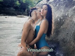 Venusandnoah