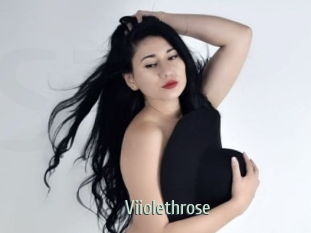 Viiolethrose