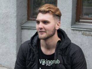 Vikingrub