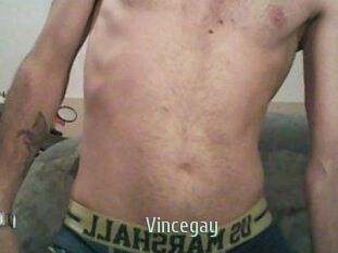 Vincegay