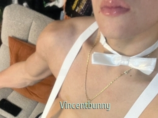 Vincentbunny