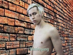 Vinnieyang