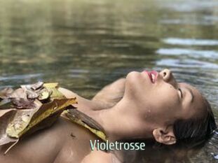 Violetrosse