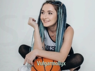 Vulgarmollyx