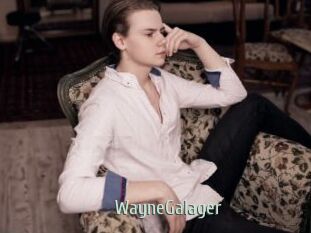 WayneGalager