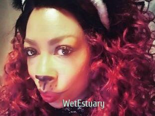 WetEstuary