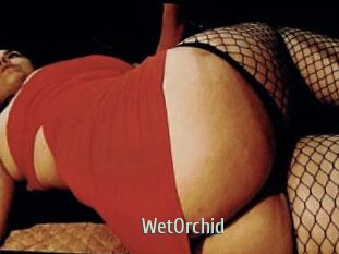 WetOrchid
