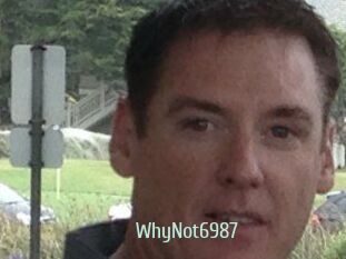 WhyNot6987