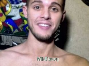 WildDavey