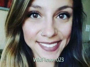 WildFlower023