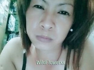 WildFlowerxx