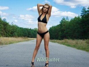 WildPanter